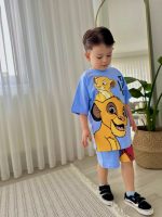 Lion King set - Image 2