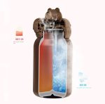 Thermos FOX - Image 3