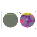 Djeco Ανακαλύπτω ξύνοντας την εικόνα Χορός κοριτσιών μεταλλικό εφέ. - Image 3