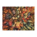 GOOD PUZZLE COMPANY, Παζλ 1000 κομματιών Autumn Forest - Image 2