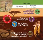 DESYLLAS Games. Ξεφτέρια: Ζώα & Φυτά - Image 3