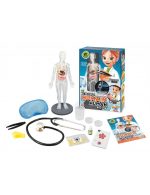 ΑΝΘΡΩΠΙΝΟ ΣΩΜΑ - Image 2