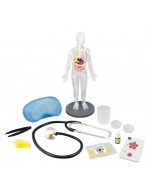 ΑΝΘΡΩΠΙΝΟ ΣΩΜΑ - Image 4